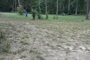 136469 Mustang Dr, Splendora, TX 77372 - Photo 2