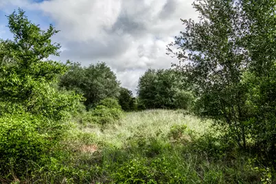Tract 5 S Nassau Road, Round Top, TX 78954 - Photo 16