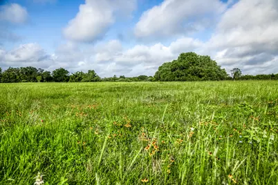 Tract 5 S Nassau Road, Round Top, TX 78954 - Photo 12