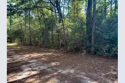 230 Private Road 8305, Woodville, TX 75979 - Photo 2