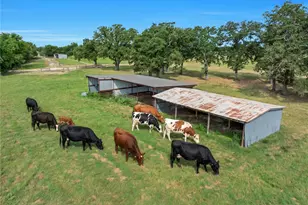 432 Fm 1953, Groesbeck, TX 76642 - Photo 46