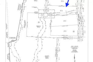 15529 Republic Park Trail, Willis, TX 77378 - Photo 4