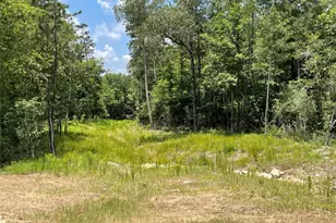 15529 Republic Park Trail, Willis, TX 77378 - Photo 10