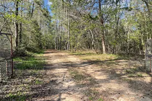 5129 Co Rd 425, Jasper, TX 75951 - Photo 2