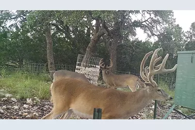 Lot 15 Contrary Creek Ranches, Rocksprings, TX 78880 - Photo 16