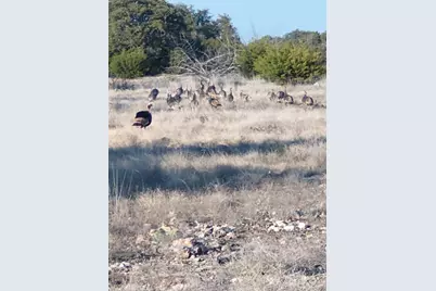 Lot 15 Contrary Creek Ranches, Rocksprings, TX 78880 - Photo 4