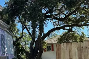 1009 Sealy St, Galveston, TX 77550 - Photo 2