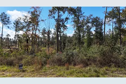 Tbd 7 Reveille Road, Livingston, TX 77351 - Photo 2