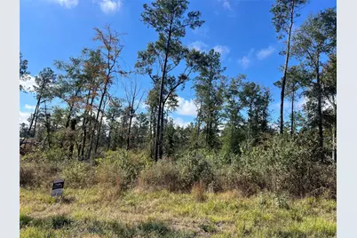 Tbd 7 Reveille Road, Livingston, TX 77351 - Photo 10