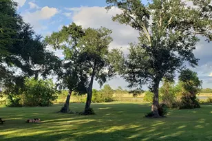 23310 Margerstadt Rd, Hockley, TX 77447 - Photo 2