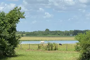 23310 Margerstadt Rd, Hockley, TX 77447 - Photo 28