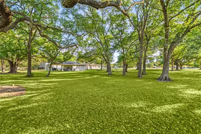9907 Ironwood Lane, Fairchilds, TX 77469 - Photo 42