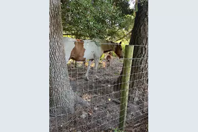 12120 Fm 1409, Dayton, TX 77535 - Photo 6