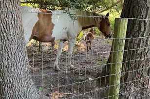 12120 FM1409, Dayton, TX 77535 - Photo 6