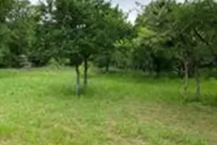 776 8th St, Somerville, TX 77879 - Photo 4