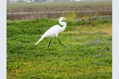 3569 County Road 202, Sargent, TX 77414 - Photo 10
