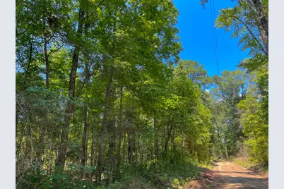 4 New Haven Road, Milam, TX 75948 - Photo 6