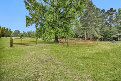 2955 Hogg Extension, Apple Springs, TX 75847 - Photo 40