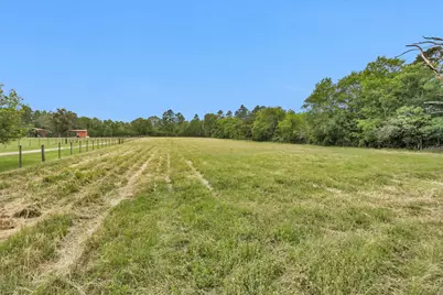 10.6 Acres Hogg Extension, Kennard, TX 75847 - Photo 42