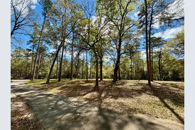 1733 US Highway 190 E, Woodville, TX 75979 - Photo 4