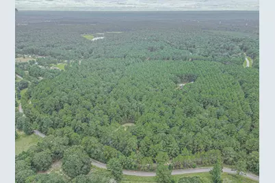 9947 Amelia Drive, Anderson, TX 77830 - Photo 8