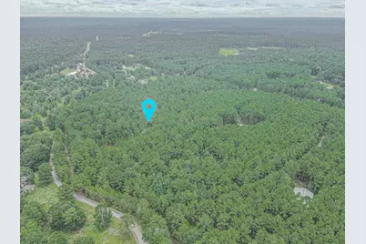 9947 Amelia Drive, Anderson, TX 77830 - Photo 6