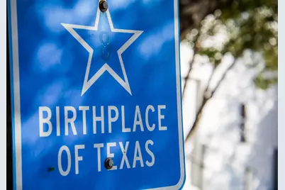 Tbd Sunshine Lot 17 Court, Chappell Hill, TX 77246 - Photo 4