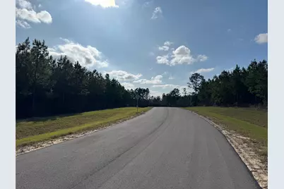 11830 Moss Grove Court, Willis, TX 77378 - Photo 6