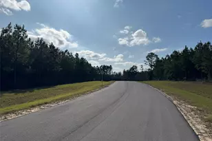 11830 Moss Grv Ct, Willis, TX 77378 - Photo 6