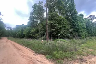 0 Patricia Dr, Livingston, TX 77351 - Photo 1