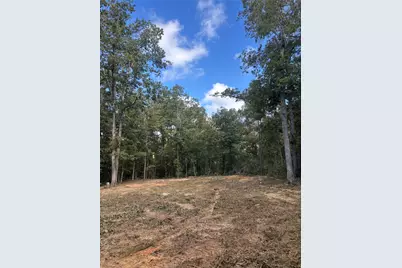 Lots 182-185 Conestoga Trail, Livingston, TX 77351 - Photo 8