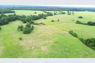 5189 County Road 4550, Pennington, TX 75856 - Photo 8