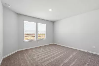 29006 Fig Vine Drive, Waller, TX 77484 - Photo 20