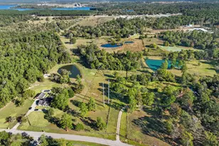 12029 Thompson Rd, Willis, TX 77318 - Photo 14