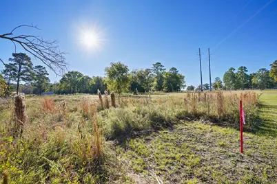 12029 Thompson Road, Willis, TX 77318 - Photo 6