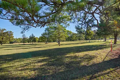 12029 Thompson Road, Willis, TX 77318 - Photo 10