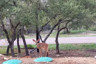 1526 Lakeside Dr W, Canyon Lake, TX 78133 - Photo 34