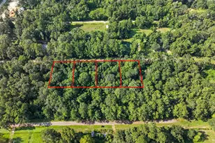 0 0 Dora Ln, Shepherd, TX 77371 - Photo 1