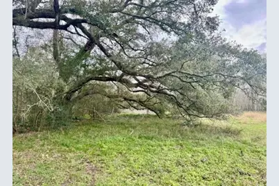 327 County Road 735, Angleton, TX 77515 - Photo 16