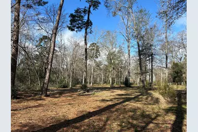 10825 Rose Royal Drive, Conroe, TX 77303 - Photo 12