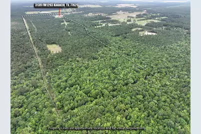 3139 Fm 1293 Road, Kountze, TX 77625 - Photo 44