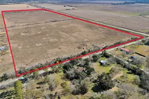 0 County Road 167, Alvin, TX 77511 - Photo 4