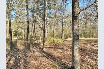 295 Lakecrest, Livingston, TX 77351 - Photo 6