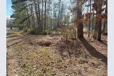 295 Lakecrest, Livingston, TX 77351 - Photo 8