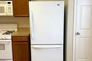 23826 Single Oak St, Spring, TX 77373 - Photo 4