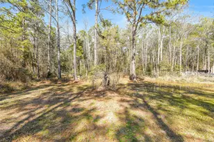 21507 Juliann Alyes, Porter, TX 77365 - Photo 6