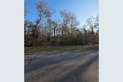 Tbd Westward Ho St, Stagecoach, TX 77355 - Photo 4