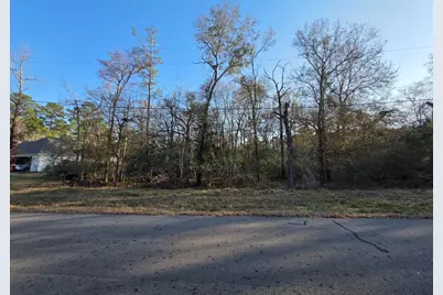 Tbd Westward Ho St, Stagecoach, TX 77355 - Photo 1