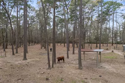 31601 Huffman Cleveland Road, Huffman, TX 77336 - Photo 36