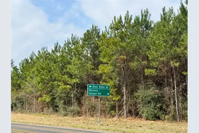 3 Menard Chapel Road, Livingston, TX 77351 - Photo 8